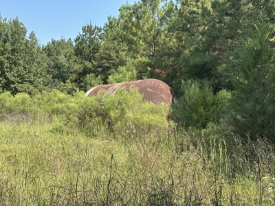 East Texas Hunting/Recreational/Timber Tract For Sale - image 10