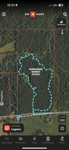 East Texas Hunting/Recreational/Timber Tract For Sale - image 25