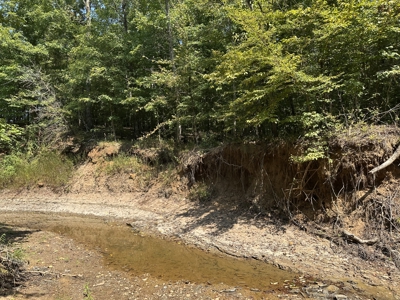 East Texas Hunting/Recreational/Timber Tract For Sale - image 13