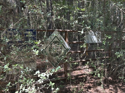 East Texas Hunting/Recreational/Timber Tract For Sale - image 20