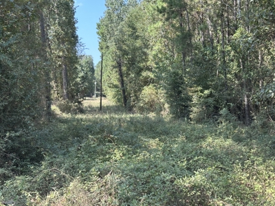 East Texas Hunting/Recreational/Timber Tract For Sale - image 23