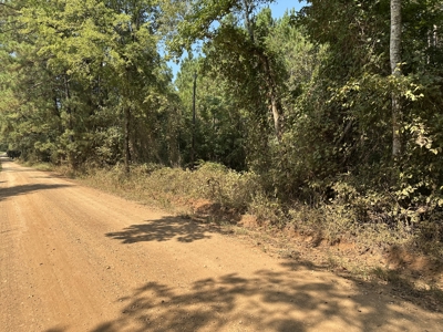 East Texas Hunting/Recreational/Timber Tract For Sale - image 24