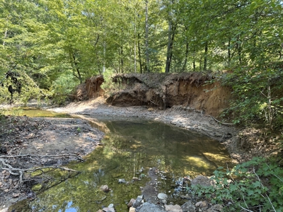 East Texas Hunting/Recreational/Timber Tract For Sale - image 1