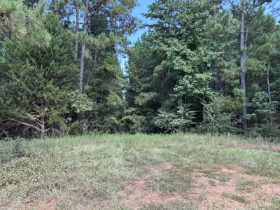 East Texas Hunting/Recreational/Timber Tract For Sale - image 26