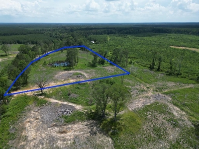 Land for Sale in Amite County, MS - image 1