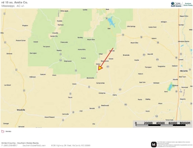Land for Sale in Amite County, MS - image 15