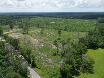 Land for Sale in Amite County, MS - image 2