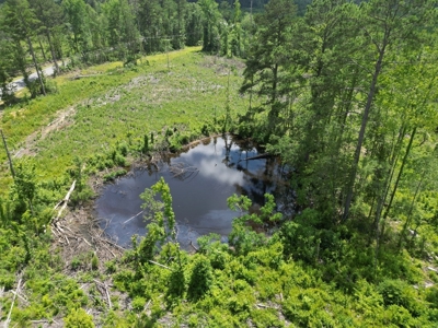 Land for Sale in Amite County, MS - image 4