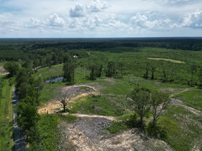 Land for Sale in Amite County, MS - image 3