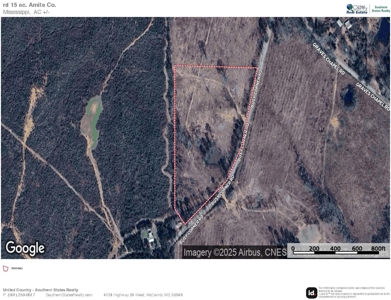 Land for Sale in Amite County, MS - image 16