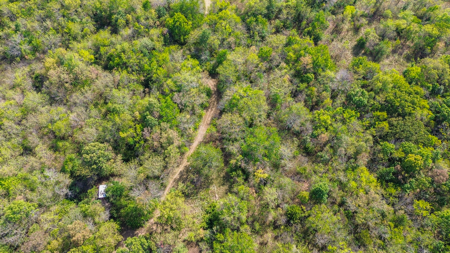 Missouri Country Home, Hobby Farm and Hunting Property For Sale - image 6