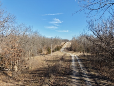 Missouri Country Home, Hobby Farm and Hunting Property For Sale - image 41
