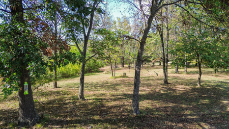 Missouri Country Home, Hobby Farm and Hunting Property For Sale - image 14