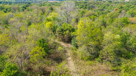 Missouri Country Home, Hobby Farm and Hunting Property For Sale - image 5