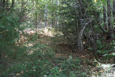 Double Lot Vacant Land For Sale on Lake Muskoday in Upstate NY - image 9