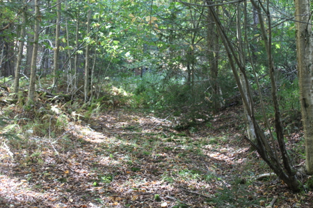 Double Lot Vacant Land For Sale on Lake Muskoday in Upstate NY - image 6