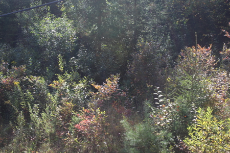 Double Lot Vacant Land For Sale on Lake Muskoday in Upstate NY - image 10
