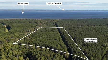 Secluded 17-Acre Homesite with Easy Access to the Crystal Coast - image 11