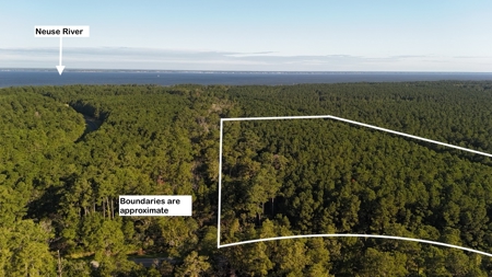 Secluded 17-Acre Homesite with Easy Access to the Crystal Coast - image 5