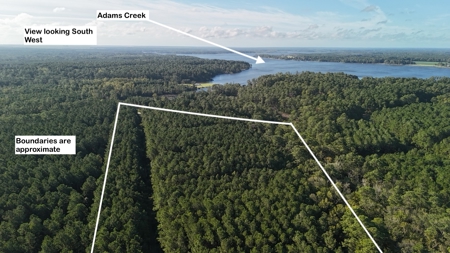 Secluded 17-Acre Homesite with Easy Access to the Crystal Coast - image 7