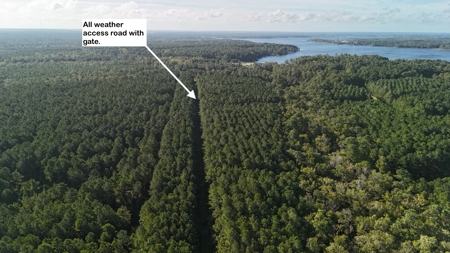 Secluded 17-Acre Homesite with Easy Access to the Crystal Coast - image 8