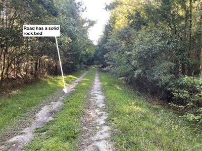 Secluded 17-Acre Homesite with Easy Access to the Crystal Coast - image 18