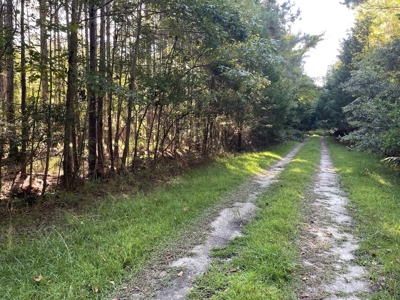 Secluded 17-Acre Homesite with Easy Access to the Crystal Coast - image 19