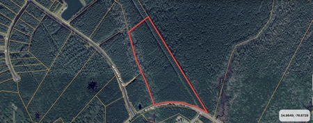 Secluded 17-Acre Homesite with Easy Access to the Crystal Coast - image 2