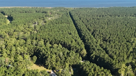 Secluded 17-Acre Homesite with Easy Access to the Crystal Coast - image 10