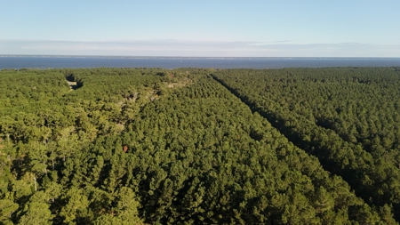 Secluded 17-Acre Homesite with Easy Access to the Crystal Coast - image 4