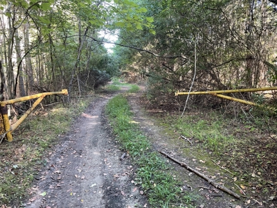 Secluded 17-Acre Homesite with Easy Access to the Crystal Coast - image 15