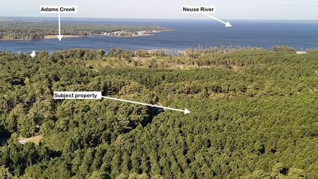 Secluded 17-Acre Homesite with Easy Access to the Crystal Coast - image 13