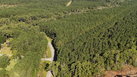 Secluded 17-Acre Homesite with Easy Access to the Crystal Coast - image 12