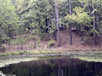 40 Acres with Home, Cabin, Pond & Timber in Southeastern OK - image 34