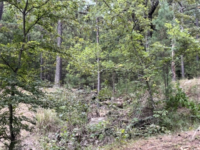 40 Acres with Home, Cabin, Pond & Timber in Southeastern OK - image 33