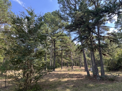 40 Acres with Home, Cabin, Pond & Timber in Southeastern OK - image 27