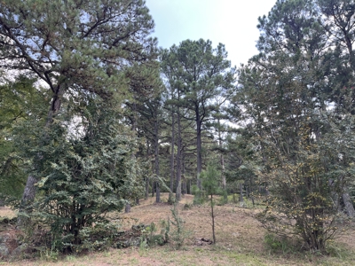 40 Acres with Home, Cabin, Pond & Timber in Southeastern OK - image 19