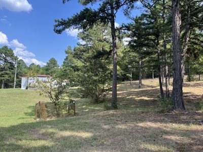 40 Acres with Home, Cabin, Pond & Timber in Southeastern OK - image 18
