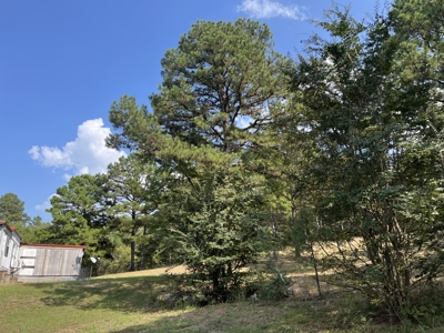 40 Acres with Home, Cabin, Pond & Timber in Southeastern OK - image 28
