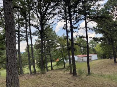 40 Acres with Home, Cabin, Pond & Timber in Southeastern OK - image 24
