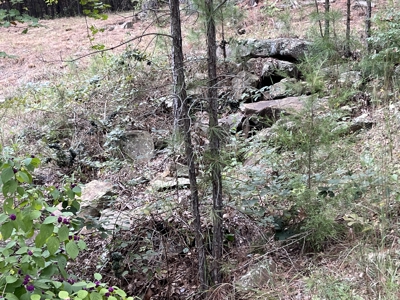 40 Acres with Home, Cabin, Pond & Timber in Southeastern OK - image 29