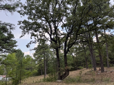 40 Acres with Home, Cabin, Pond & Timber in Southeastern OK - image 39