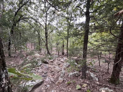 40 Acres with Home, Cabin, Pond & Timber in Southeastern OK - image 36