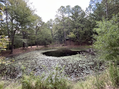 40 Acres with Home, Cabin, Pond & Timber in Southeastern OK - image 35