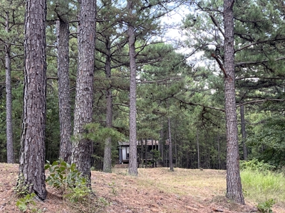 40 Acres with Home, Cabin, Pond & Timber in Southeastern OK - image 32