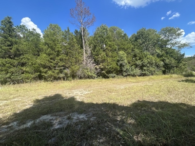 Crown Ridge Residential Development Land For Sale in Selma, AL - image 9