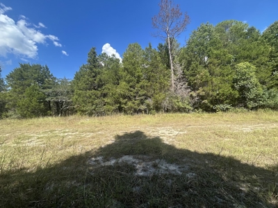 Crown Ridge Residential Development Land For Sale in Selma, AL - image 10