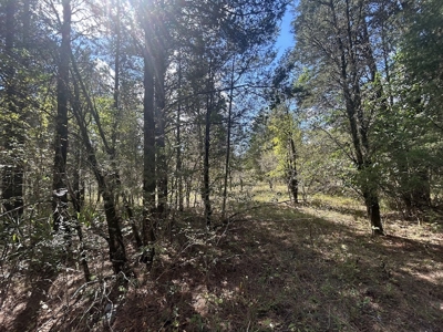 Crown Ridge Residential Development Land For Sale in Selma, AL - image 7