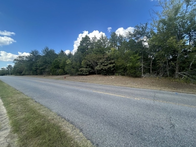 Crown Ridge Residential Development Land For Sale in Selma, AL - image 13