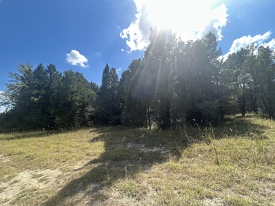 Crown Ridge Residential Development Land For Sale in Selma, AL - image 8